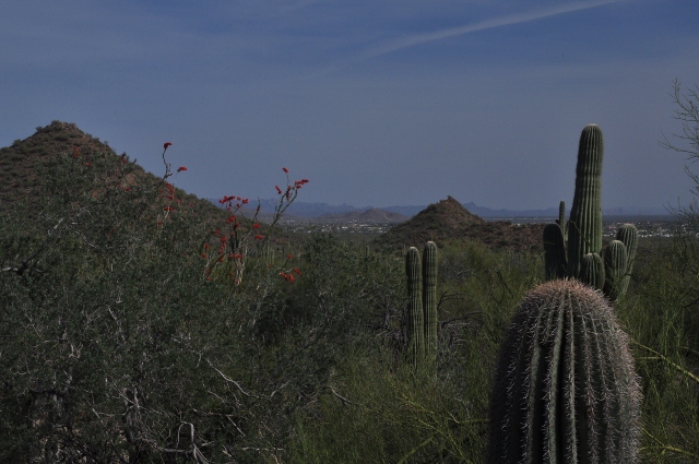 Usery Mtn